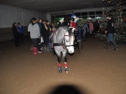dsc_0110_web